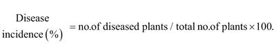 Antifungal effects and biocontrol potential of lipopeptide-producing Streptomyces against banana Fusarium wilt fungus Fusarium oxysporum f. sp. cubense